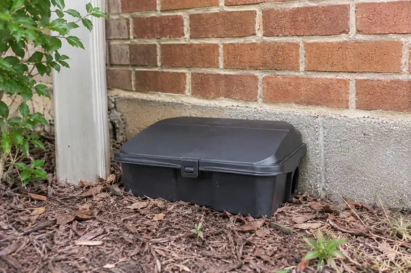 Locked bait station against a commercial building