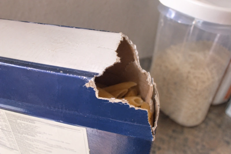 Food box with a corner chewed open by mice