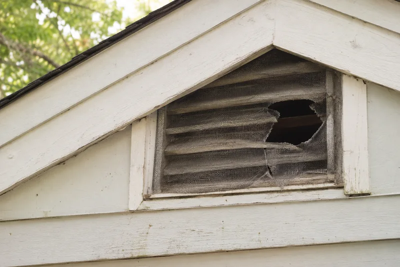 Gable vent with a chewed screen
