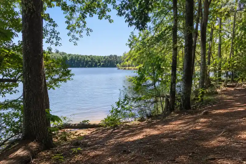 Lakeside woods at Jamestown Park