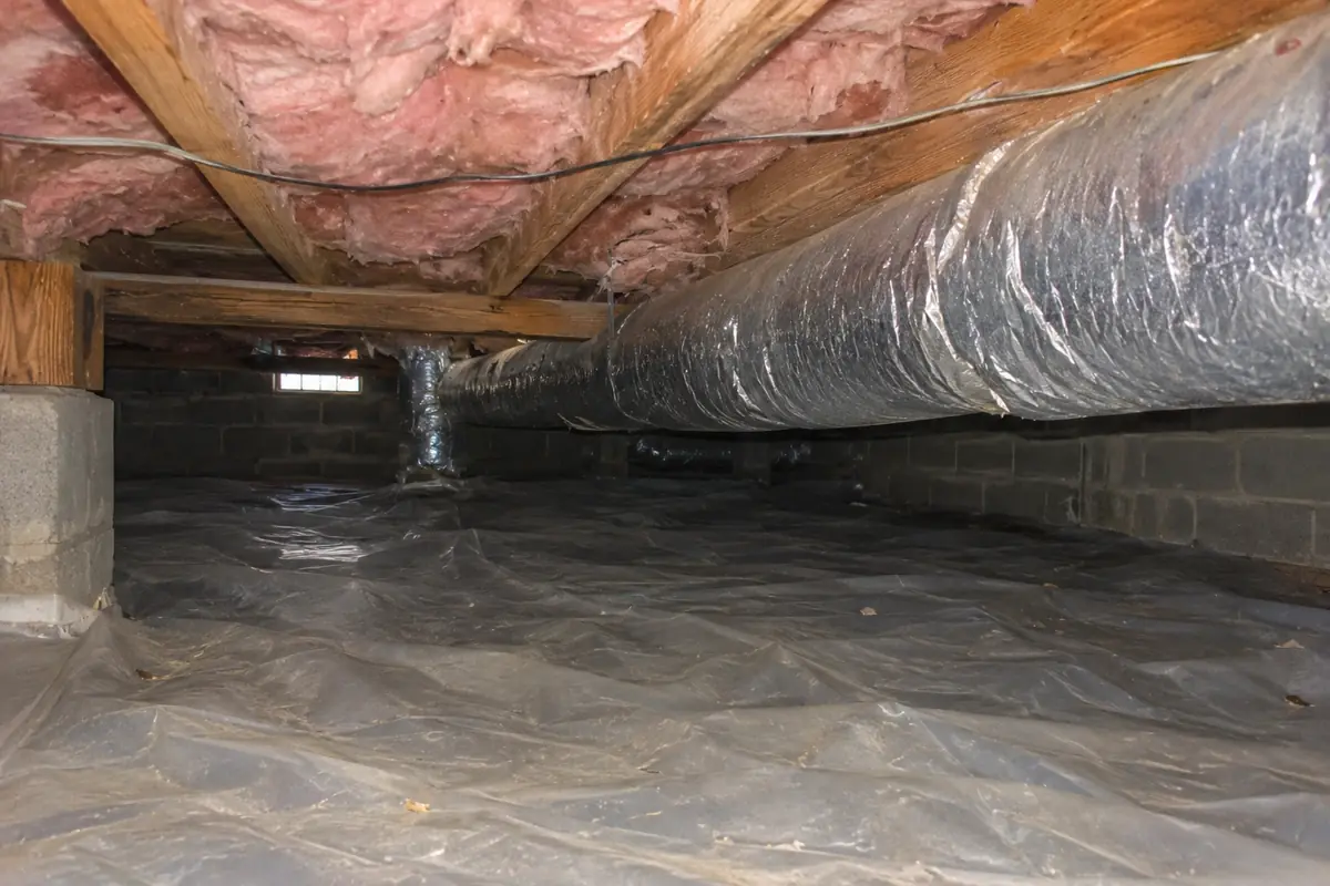 Crawl space with ductwork and a plastic vapor barrier, a common setting for crawl space rodent control Greensboro work